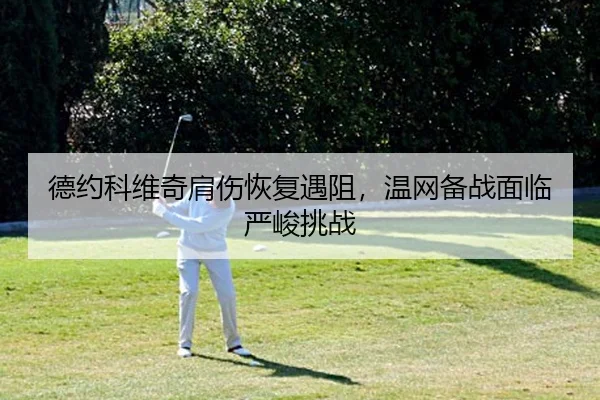 de-yue-ke-wei-qi-jian-shang-hui-fu-yu-zu-wen-wang-bei-zhan-mian-lin-yan-jun-tiao-zhan-2-328.jpg