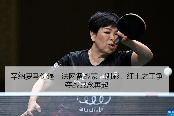 xin-na-luo-ma-shang-tui-fa-wang-bei-zhan-meng-shang-yin-ying-hong-tu-zhi-wang-zheng-duo-zhan-xuan-nian-zai-qi-2-927.jpg